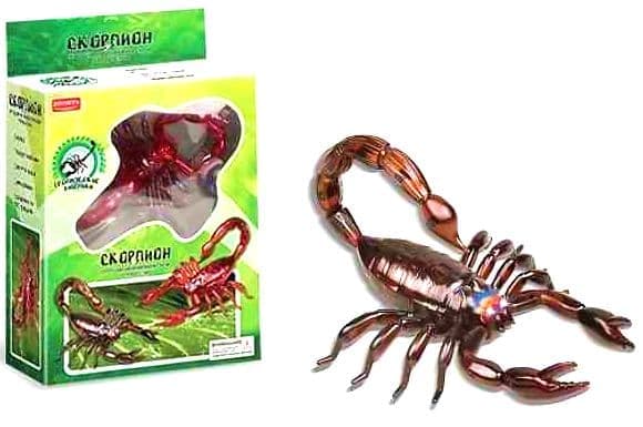 R scorpion