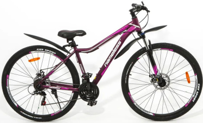 Велосипед женский J9500DW 29" (Артикул: J9500DW-PR-17(21), Размер рамы: 17" (Рост 156-170 см), Цвет: Фиолетовый)