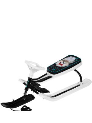 Снегокат ТИМКА СПОРТ 2+ до 100 кг (Артикул: ТС2+/БЛ, Цвет: С болонкой)