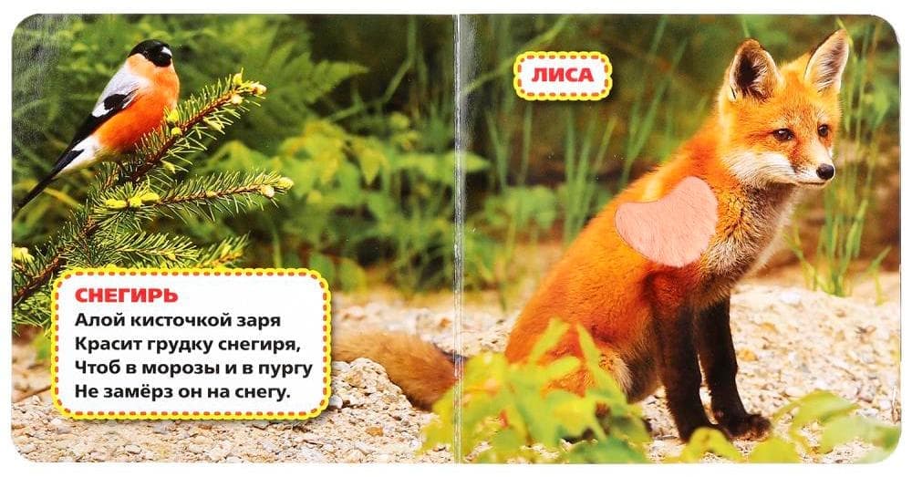 тарелка икеа винтер 2021. птицы на рябине. снегири. алой кисточкой заря красит грудку. умка лесные животные погладь.