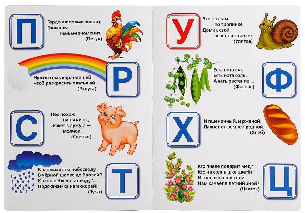 Азбука в загадках картинки